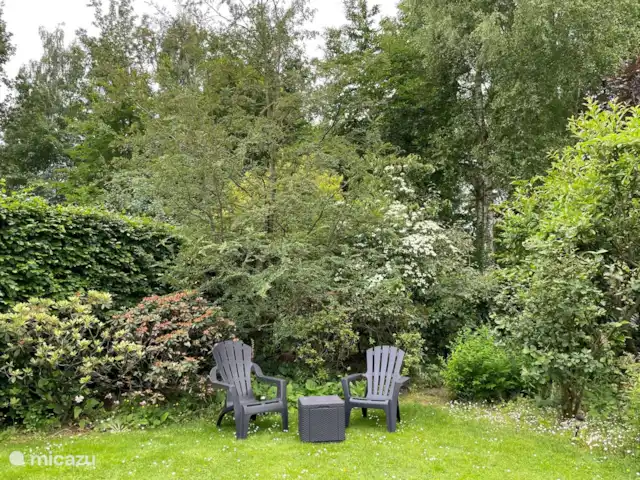 Relaxen in de schaduw